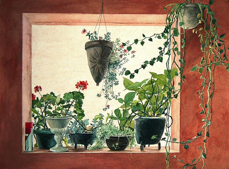 Opening And Plants  1998.jpg